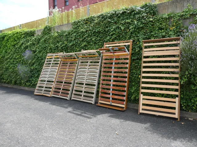 Used slatted bed bases collected by Baipor, leaning against an ivy-covered wall